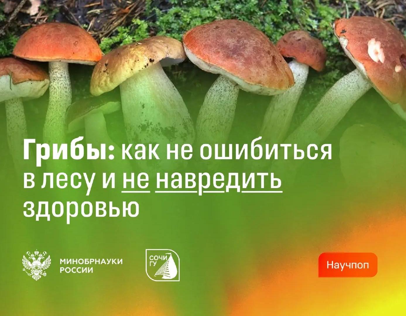 СочиГУ о важном