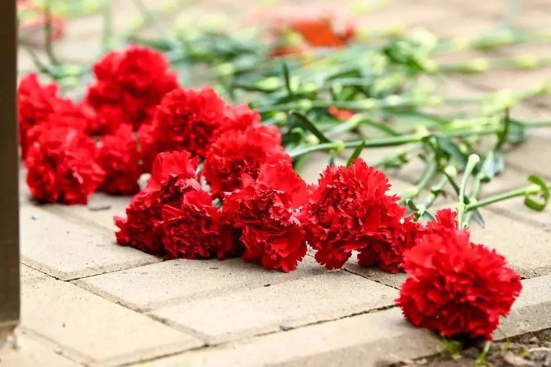 Вечная слава защитникам Родины! 