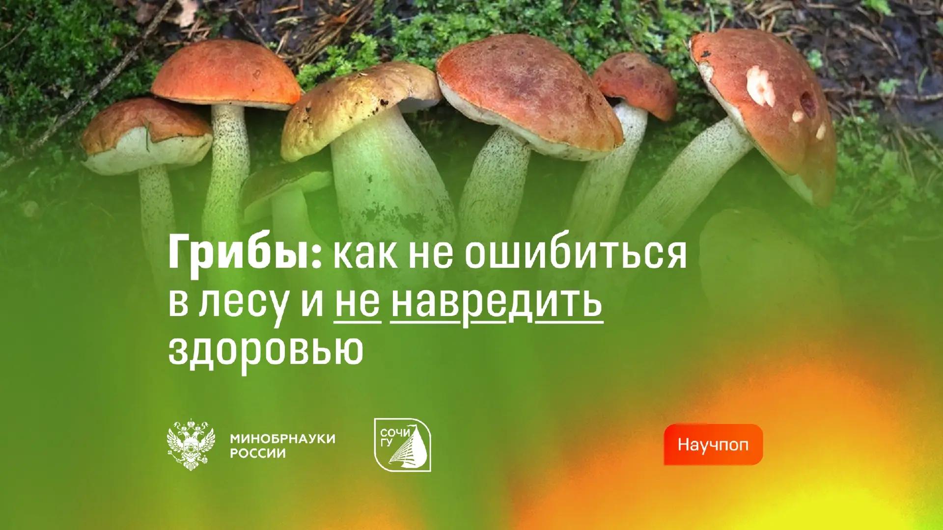 СочиГУ о важном