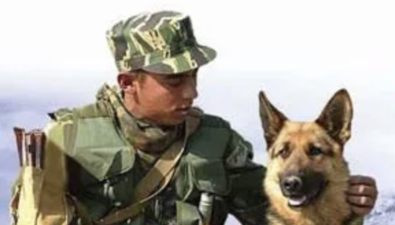 День пограничника