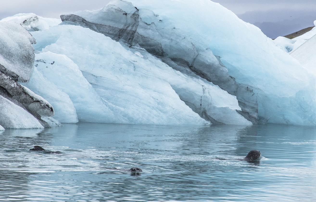 Международный день защиты ледников