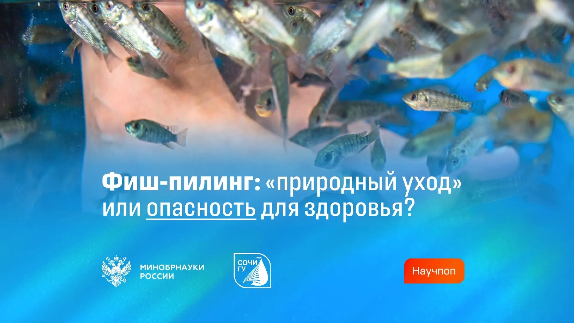 Фиш-пилинг: «природный уход» или опасность для здоровья?