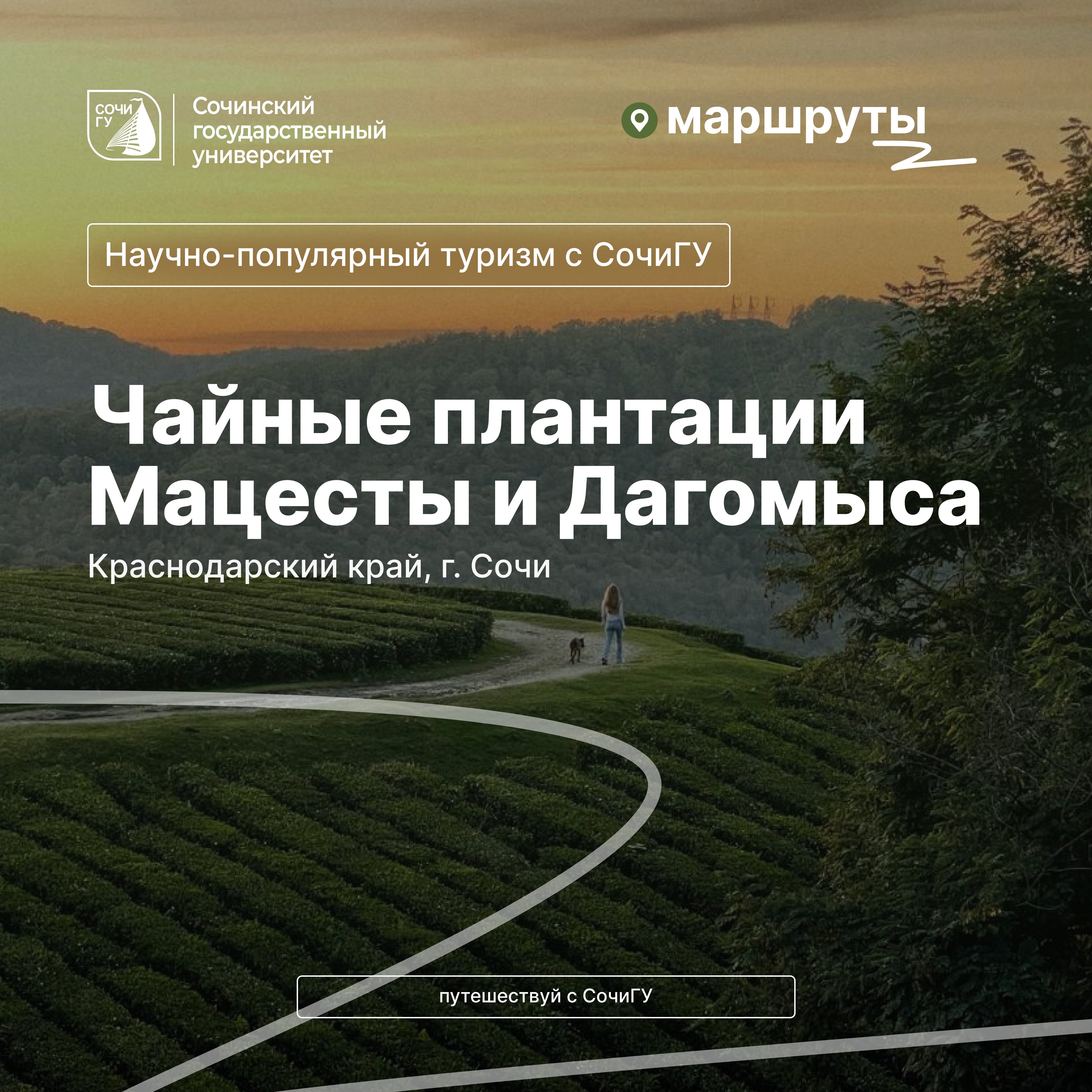 Научно-популярный туризм с СочиГУ: чайные плантации Мацесты и Дагомыса 
