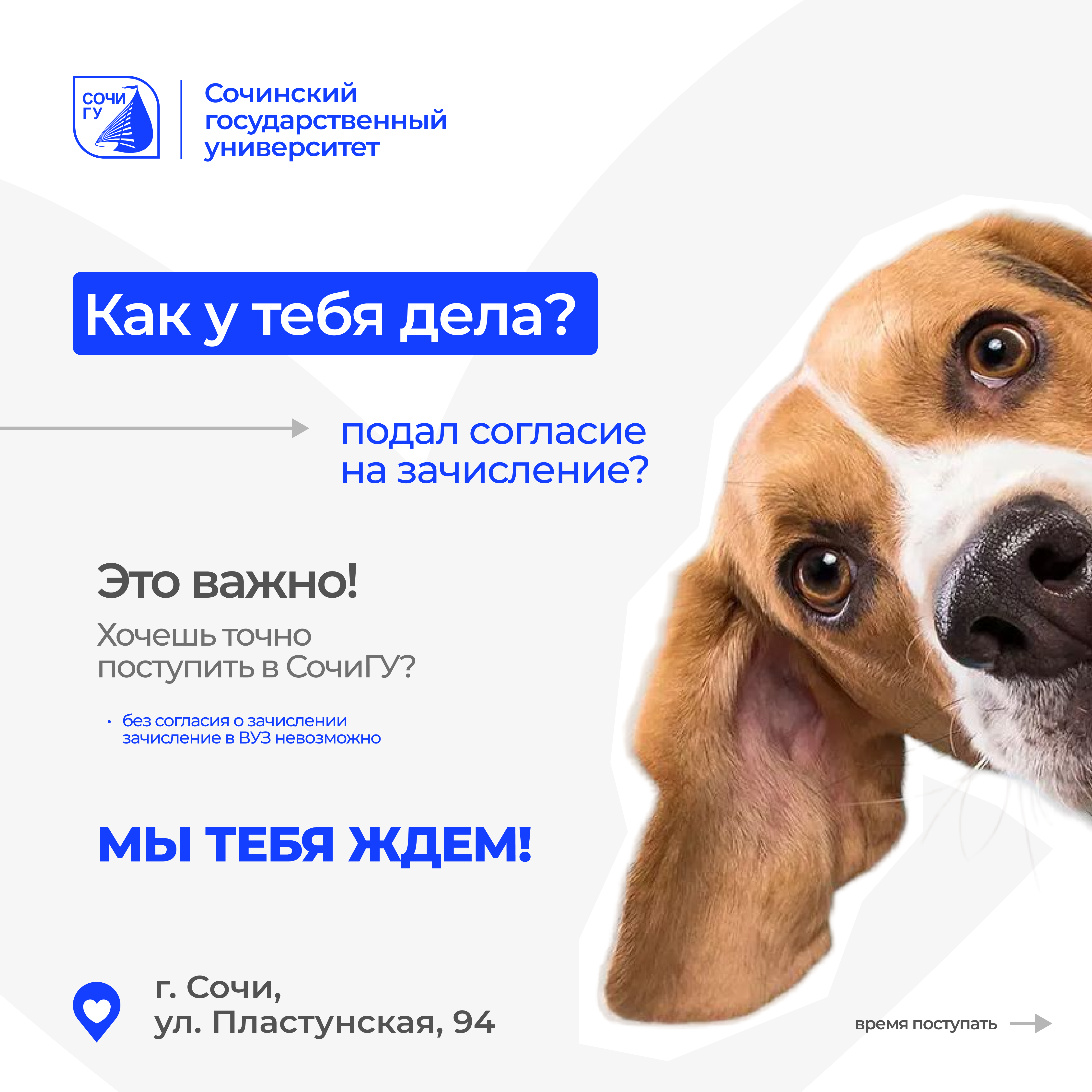 Не забудь подать согласие на зачисление!
