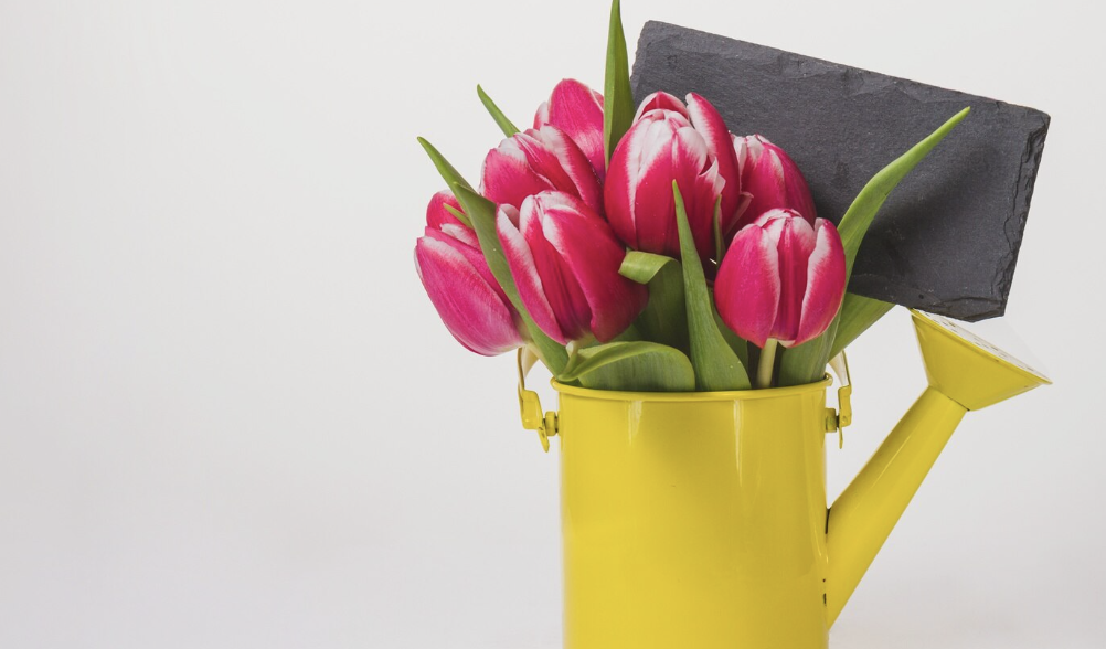 День международной солидарности трудящихся.  Праздник Весны и  Труда